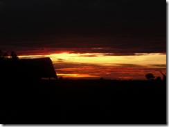 Safari sunrise