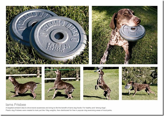 Iams Frisbee