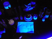 DSC00278