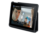 iPad case stand