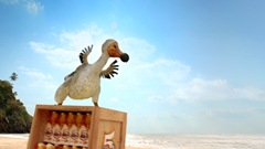 dodo