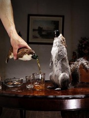 BrewDog Beer: Beer in a Stuffed Animal